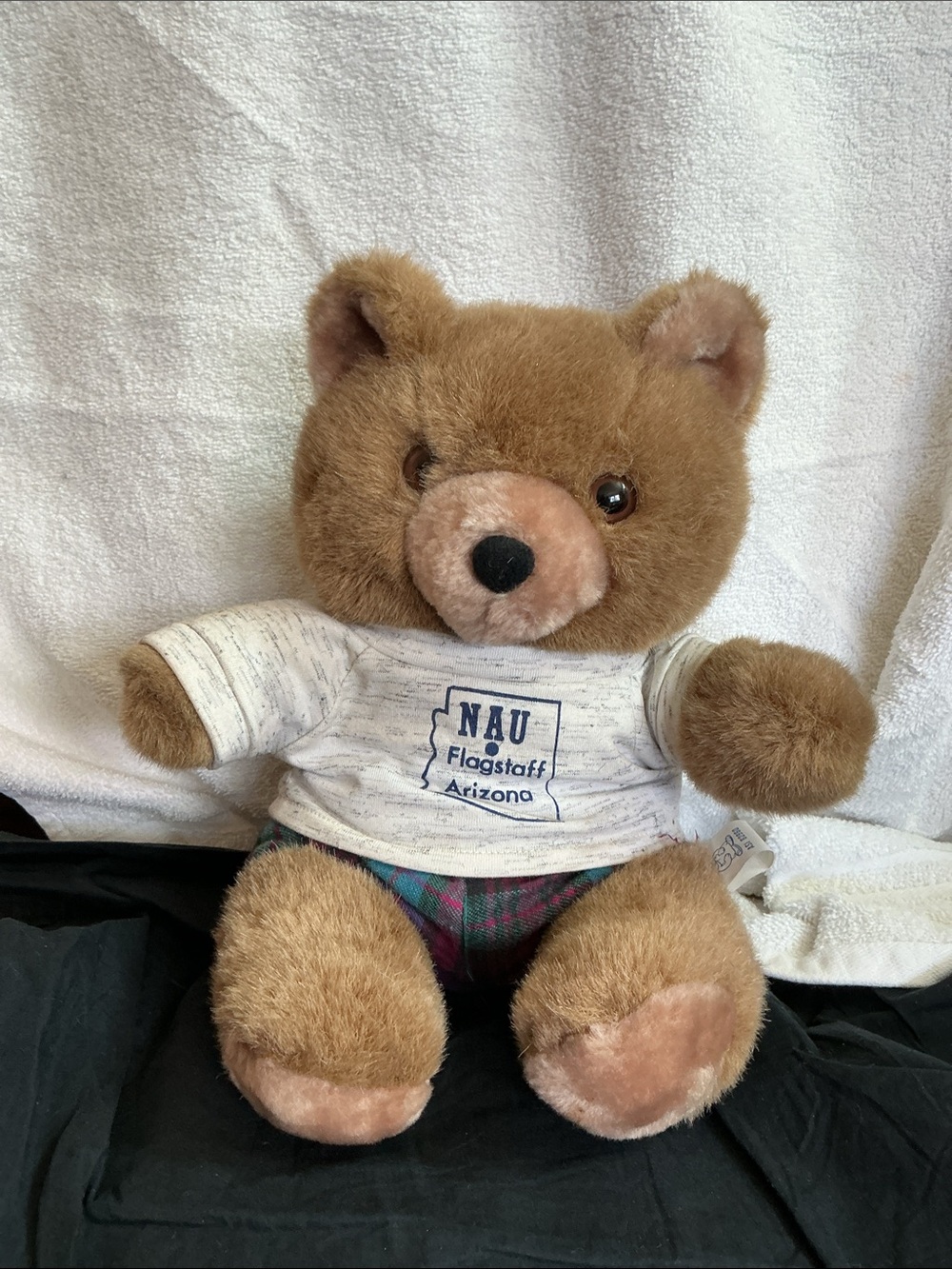 Vtg 90s NAU Flagstaff Arizona plush teddy Bear with NAU Tee & Plaid Bottoms